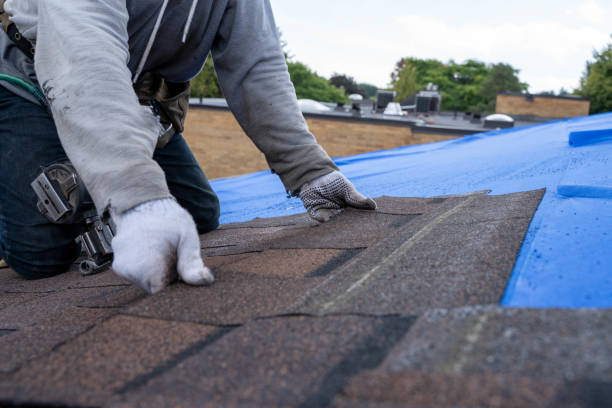 Best Flat Roof Repair Services  in Carlton, OR