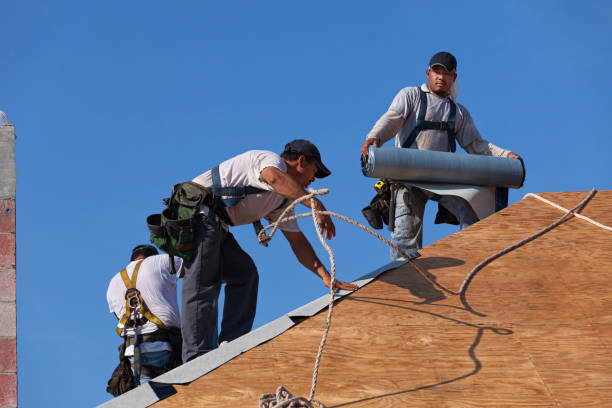 Professional Roofing Contractor in Carlton, OR